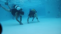 IMG_0126.jpg